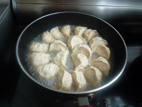 娱乐吃瓜君煎饺